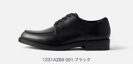 1231A289 001:ブラック