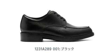 1231A289 001:ブラック