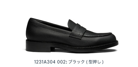 1231A304 002:GEL-BIZ ラギッド メンズ GORE-TEX防水 3E