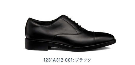 1231A312 001:GEL-BIZ オーセンティック GORE-TEX防水 3E