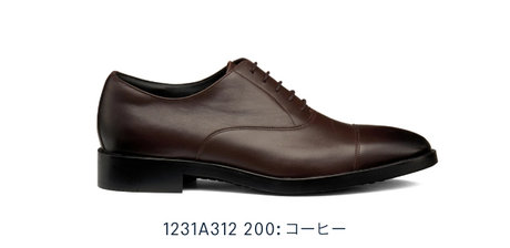 1231A312 200:GEL-BIZ オーセンティック GORE-TEX防水 3E