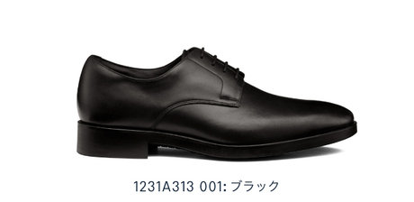 1231A313 001:GEL-BIZ オーセンティック GORE-TEX防水 3E