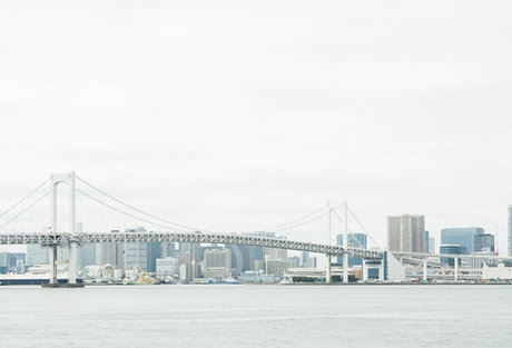 シューレース・ラインアップ