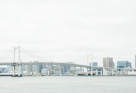 シューレース・ラインアップ