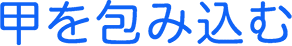 甲を包み込む